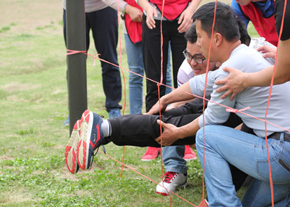 工業交換機廠家飛崧戶外拓展訓練心得感悟