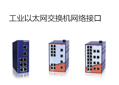 工業以太網交換機的網絡接口類型有哪些？